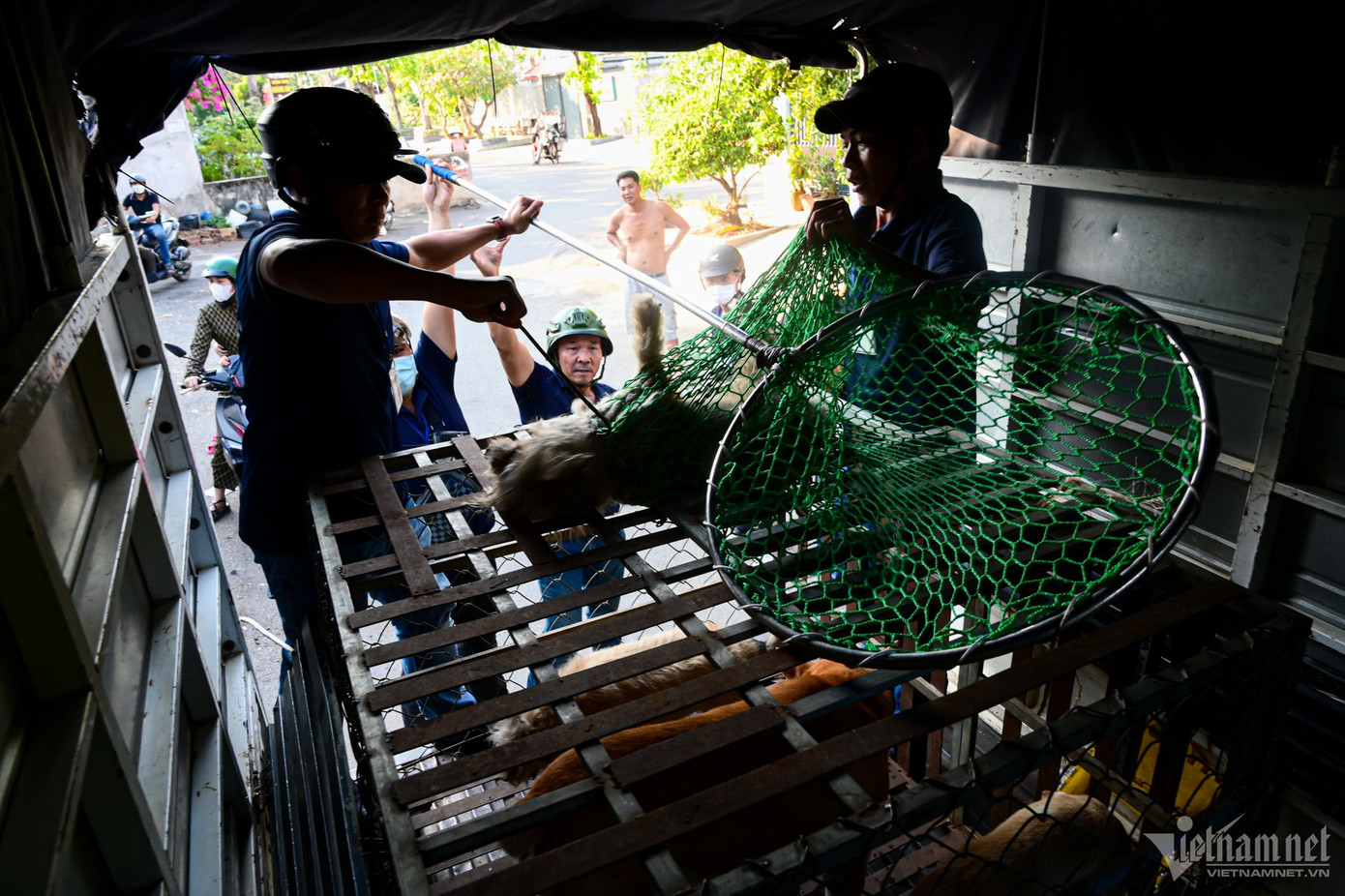 Chứng kiến đội bắt chó thả rông làm việc, rất nhiều người dân đồng tình, ủng hộ. Họ bày tỏ việc thả rông chó không chỉ gây mất vệ sinh khu dân cư mà còn vô cùng nguy hiểm nếu chúng cắn người.