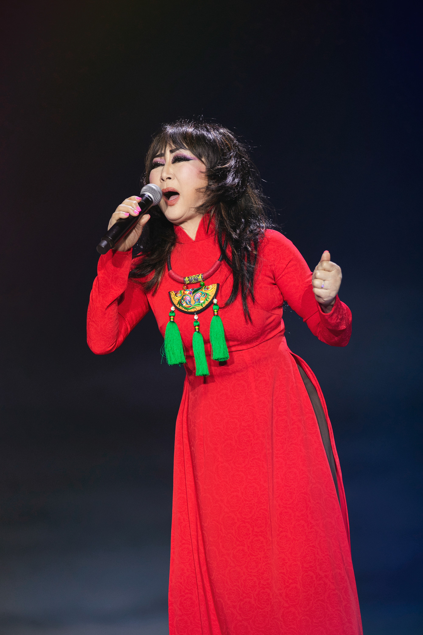 Sau lời giới thiệu của Đàm Vĩnh Hưng, danh ca Lê Uyên thể hiện ca khúc Dạ khúc cho tình nhân với tiếng đàn của guitar và violin. Nữ ca sĩ xúc động khi trình diễn ca khúc do chồng cô sáng tác.