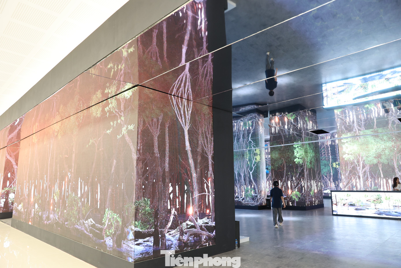 Gian trưng bày của Tập đoàn SK (Hàn Quốc) gây ấn tượng với không gian xanh, tái hiện khu rừng của dự án trồng rừng ngập mặn do SK Innovation khởi xướng. Hiện dự án đã phục hồi 860.000 cây đước và 226 ha rừng.