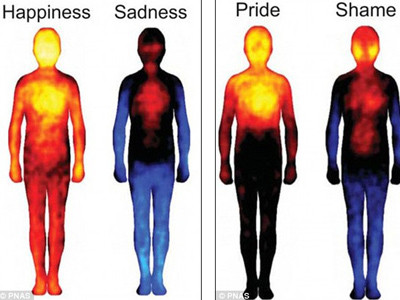 Biểu đồ thân nhiệt của con người theo từng trạng thái cảm xúc như hạnh phúc (Happiness), buồn (Sadness), tự hào (Pride) và xấu hổ (SHame). Ảnh: PNAS