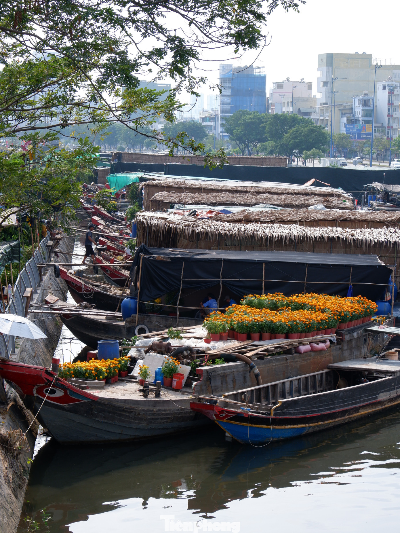 Ông Võ Văn Phúc Anh (nhà vườn đến từ tỉnh Bến Tre) cho biết: &quot;Năm nay tôi cùng cháu trai đi 2 ghe chở theo cây mai vàng từ Bến Tre lên TPHCM để bán. Do năm nhuận, năm nay mai nở sớm, tuy nhiên tình hình kinh doanh vẫn tương đương với năm trước&quot;.