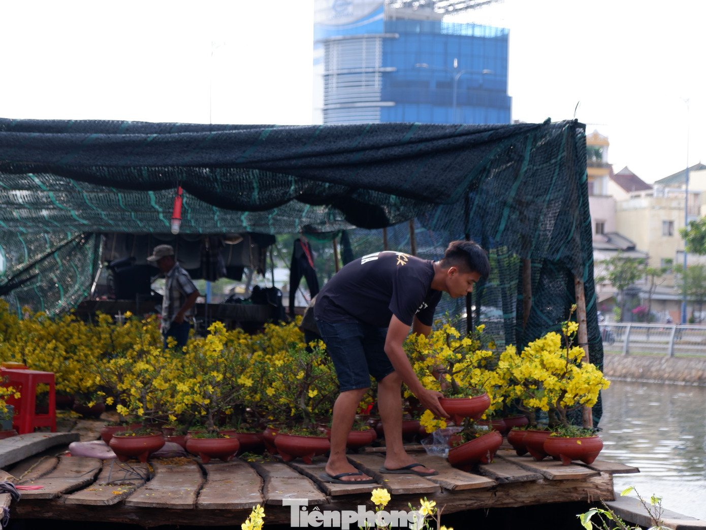 Những chiếc ghe hàng chở mai vàng tô điểm thêm sắc xuân trên dòng kênh Bến Nghé - Tàu Hũ.