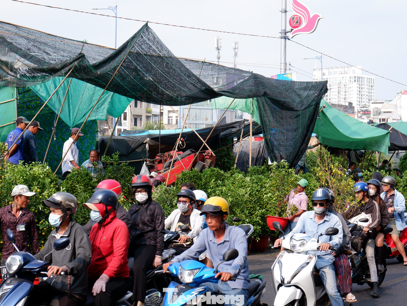 Ghi nhận vào lúc 16h chiều 8/2, tuyến đường Bến Bình Đông (quận 8) tấp nập người đến mua hoa, cây cảnh trang trí Tết.