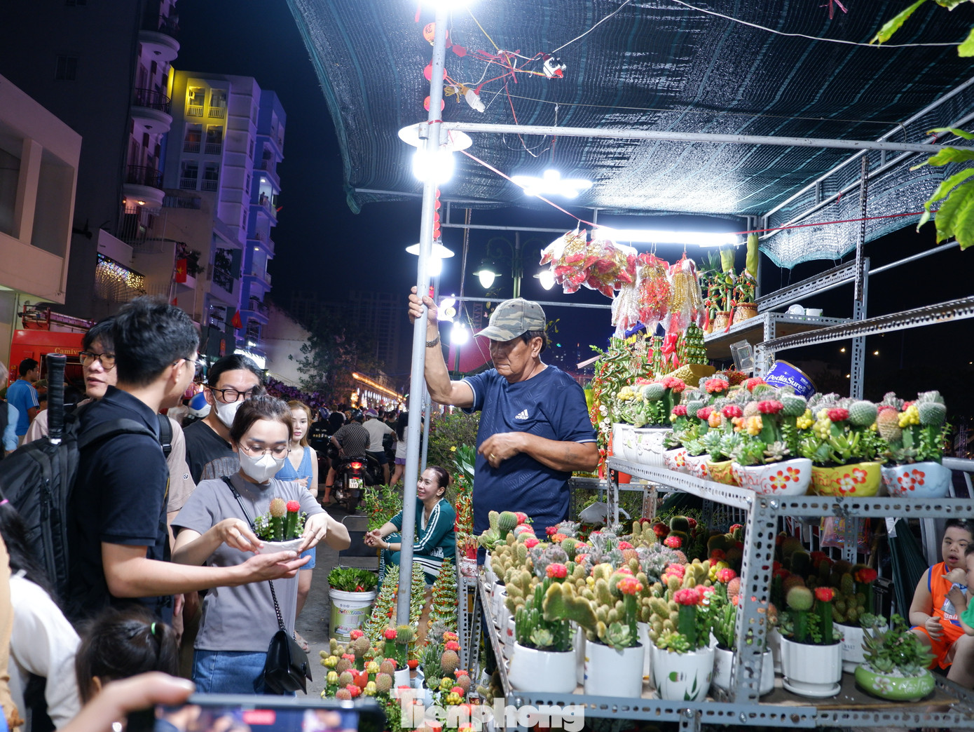 Nhiều loại cây, hoa phong phú được bày bán phục vụ người dân trong dịp tết.