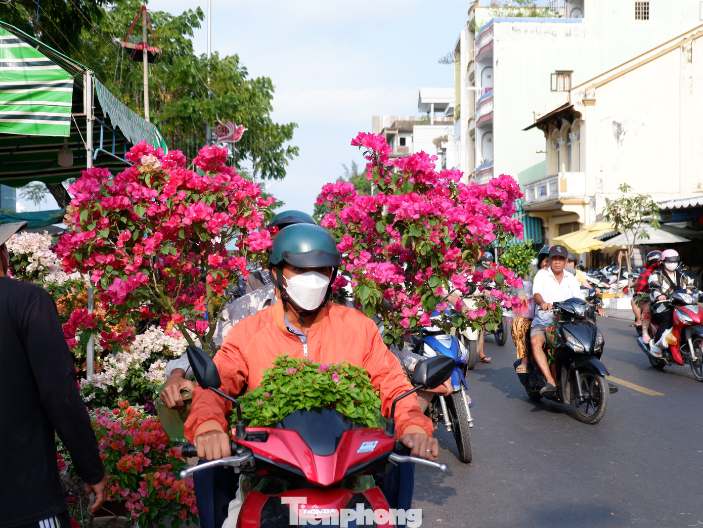 "Do bận công việc nên đến chiều nay tôi mới có thể đưa người thân đi mua hoa chuẩn bị trang trí Tết. Dù chưa giảm giá, nhưng theo tôi giá các loại hoa năm nay không cao, giá vẫn như năm trước. Mình đến mua sớm có thể chọn những loại cây hoa đẹp hơn", anh Trần Văn Quốc (ngụ quận 8, TPHCM) chia sẻ.