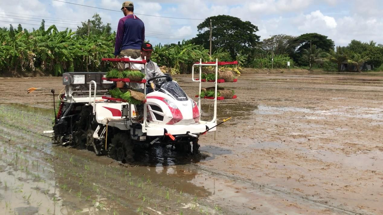 Máy cấy ngồi YR60D vừa cấy lúa, vừa bón phân