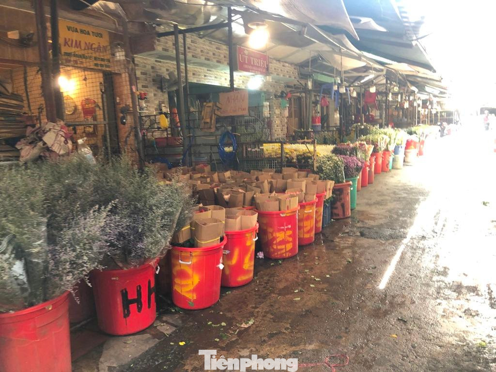 Cả dãy hàng hoa xếp hàng dài, nằm buồn thiu trong ánh nắng trưa