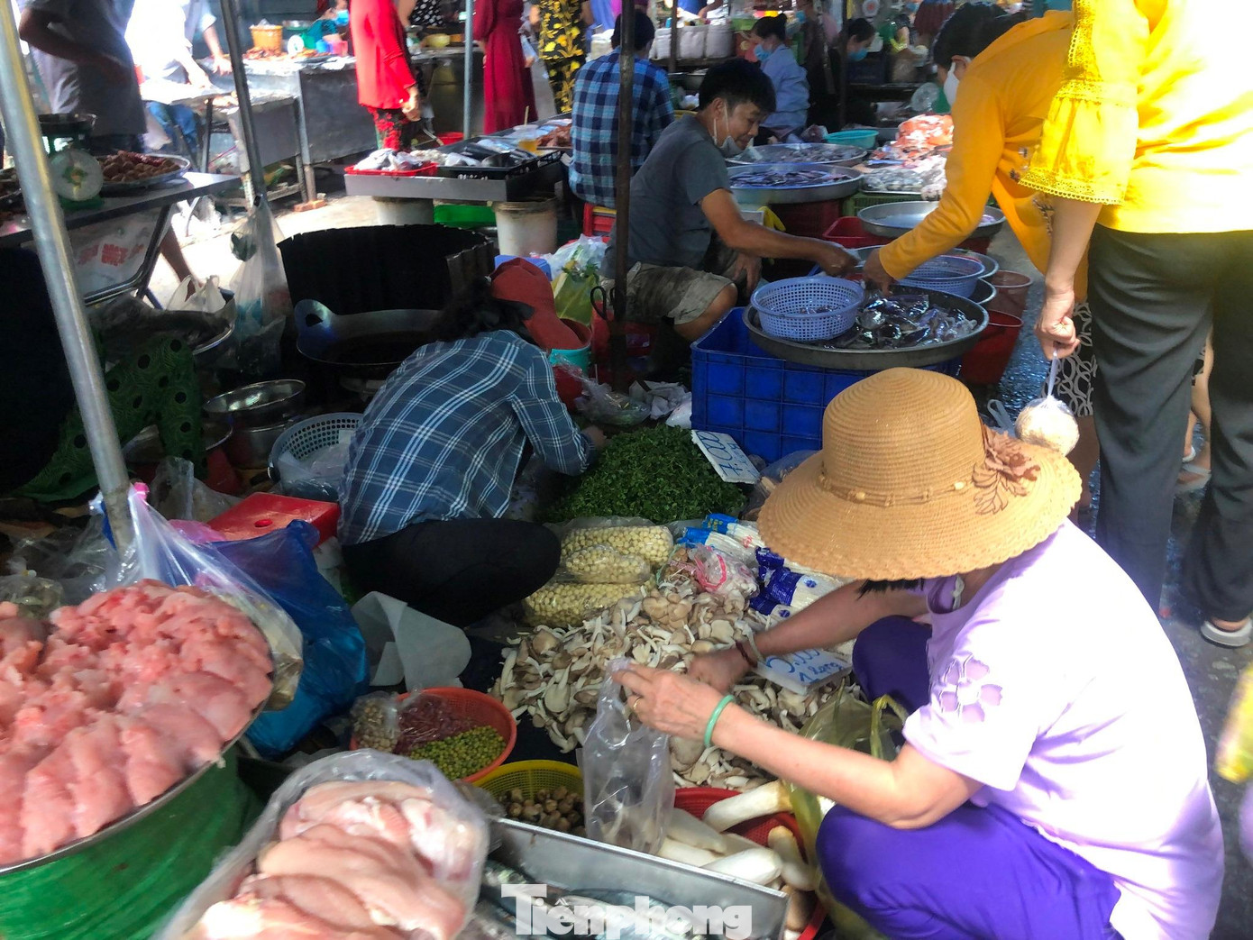 Mặt hàng rau củ quả, trái cây... đều có giá ổn định. Như nấm tươi từ 60.000-120.000 đồng/kg; xà lách Đà Lạt, khoai tây... từ 30.000 đồng/kg; rau muống, mồng tơi từ 15.000 đồng/bó...