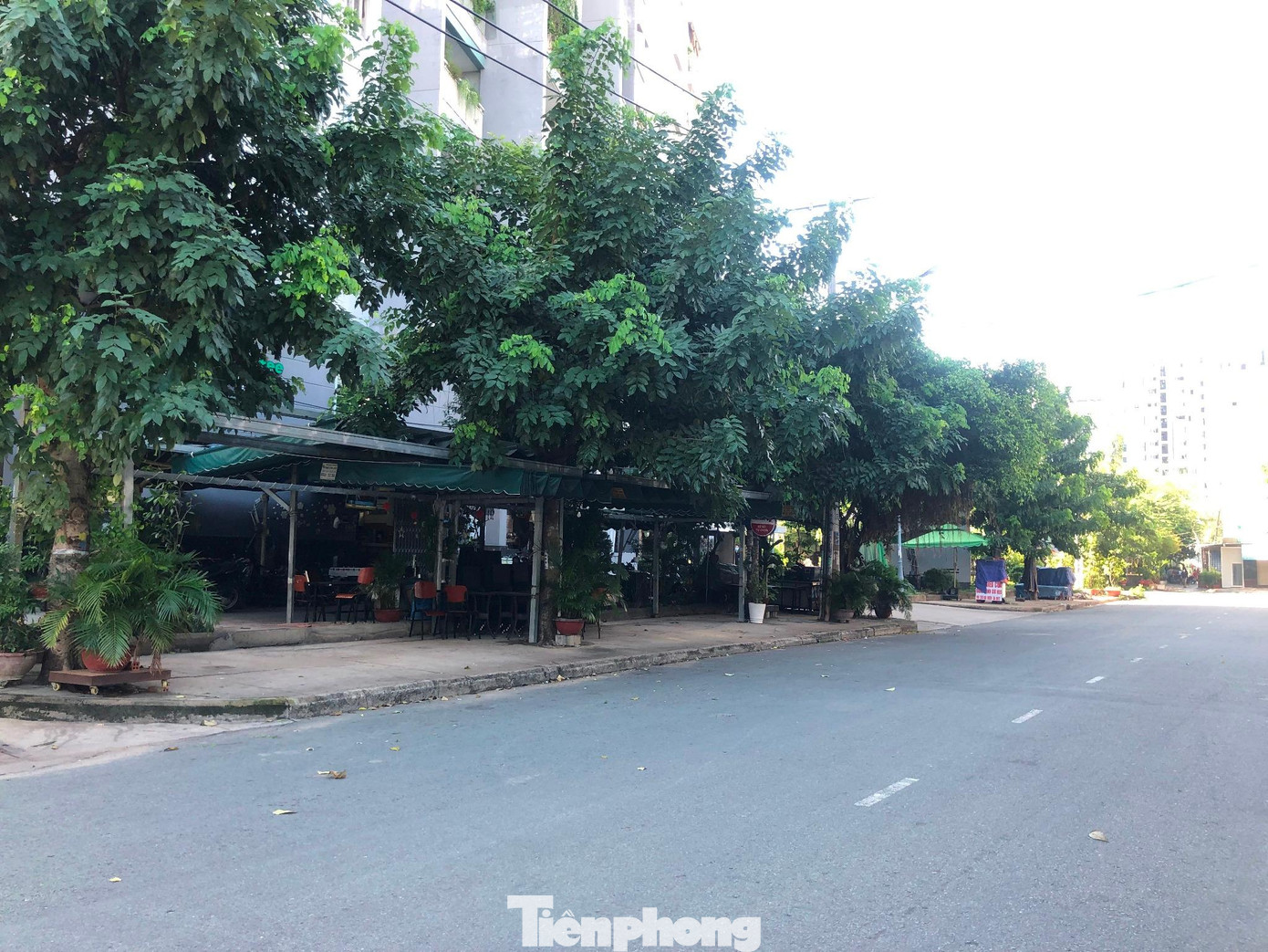 Dù mới phát hiện hôm 27/5 đến nay, nhưng chuỗi lây nhiễm Hội thánh truyền giáo Phục Hưng là chuỗi lớn nhất với 85 ca bệnh. Ngành chức năng TPHCM đề nghị những người liên quan đến chuỗi này cần chủ động khai báo y tế vì nguy cơ lây nhiễm liên quan đến Hội thánh này là rất cao.