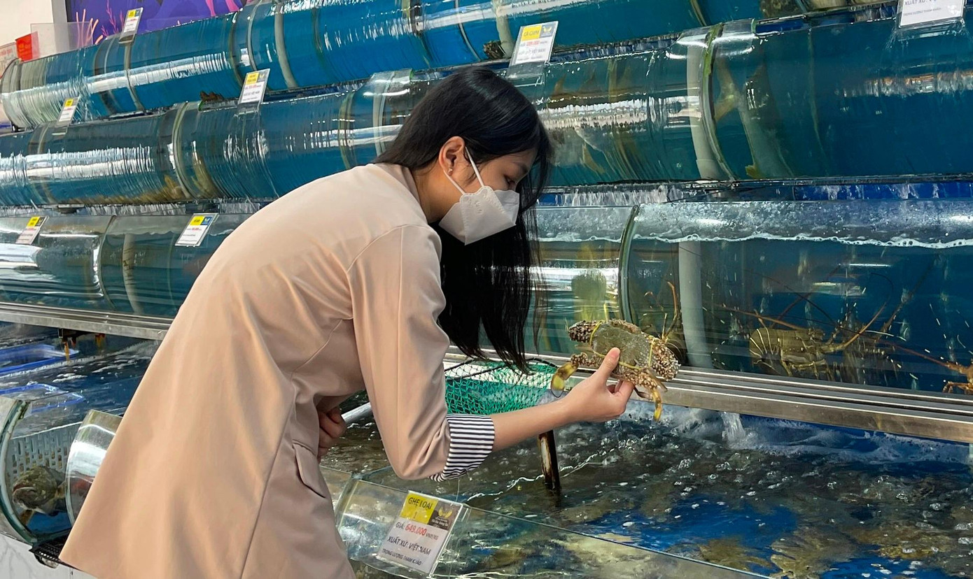 Do dịch bệnh, nhiều người có xu hướng ăn Tết tại gia hơn là đi du lịch Do dịch bệnh, nhiều người có xu hướng ăn Tết tại gia hơn là đi du lịch