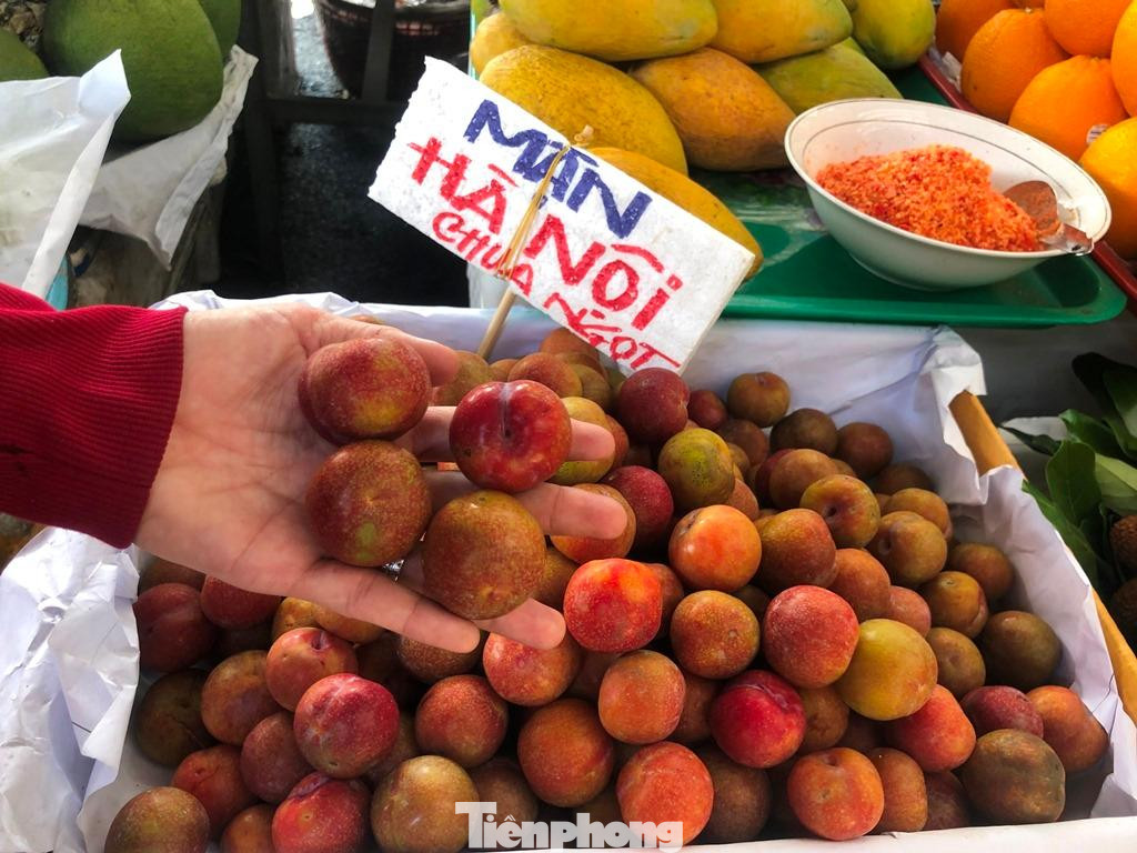 Mận Hà Nội không chỉ xuất hiện ở các chợ mà còn đổ đống bán trên các xe lưu động. Giá mận Hà Nội giá chỉ từ 40.000-50.000 đồng/kg, bằng một nửa so với mận đầu mùa năm ngoái. Giá bán sau khoảng từ 1-2 ngày lại được điều chỉnh giảm từ 10.000 - 20.000 đồng/kg. Người bán tại đây cho biết, nguồn hàng về chợ nhiều nên giá rẻ hơn mọi năm. Mận Hà Nội không chỉ xuất hiện ở các chợ mà còn đổ đống bán trên các xe lưu động. Giá mận Hà Nội giá chỉ từ 40.000-50.000 đồng/kg, bằng một nửa so với mận đầu mùa năm ngoái. Giá bán sau khoảng từ 1-2 ngày lại được điều chỉnh giảm từ 10.000 - 20.000 đồng/kg. Người bán tại đây cho biết, nguồn hàng về chợ nhiều nên giá rẻ hơn mọi năm.