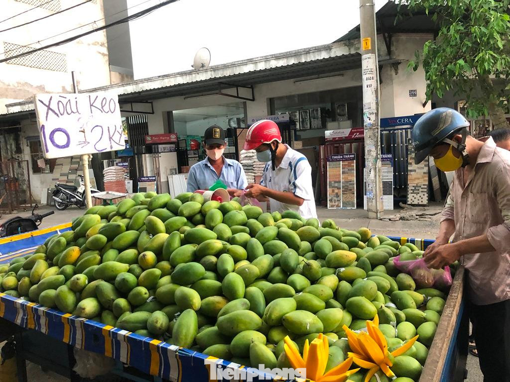Xoài cũng là loại trái cây đầu mùa có giá cực rẻ. Cụ thể, xoài cát chu bán lẻ chỉ xoay quanh 15.000 – 20.000 đồng/kg; xoài cát Hòa Lộc 30.000 – 40.000 đồng/kg; xoài keo, xoài xanh Đài Loan chỉ từ 10.000 – 15.000 đồng/kg… Nguyên nhân được cho là do sản lượng tăng nhưng đầu ra không tương xứng khiến giá rớt thê thảm. Xoài cũng là loại trái cây đầu mùa có giá cực rẻ. Cụ thể, xoài cát chu bán lẻ chỉ xoay quanh 15.000 – 20.000 đồng/kg; xoài cát Hòa Lộc 30.000 – 40.000 đồng/kg; xoài keo, xoài xanh Đài Loan chỉ từ 10.000 – 15.000 đồng/kg… Nguyên nhân được cho là do sản lượng tăng nhưng đầu ra không tương xứng khiến giá rớt thê thảm.
