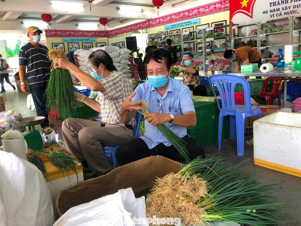 Thầy Trần Mạnh Kha, trường Ba Đình (quận 5) lựa hành, cân hành và cột thành bó rất thành thạo