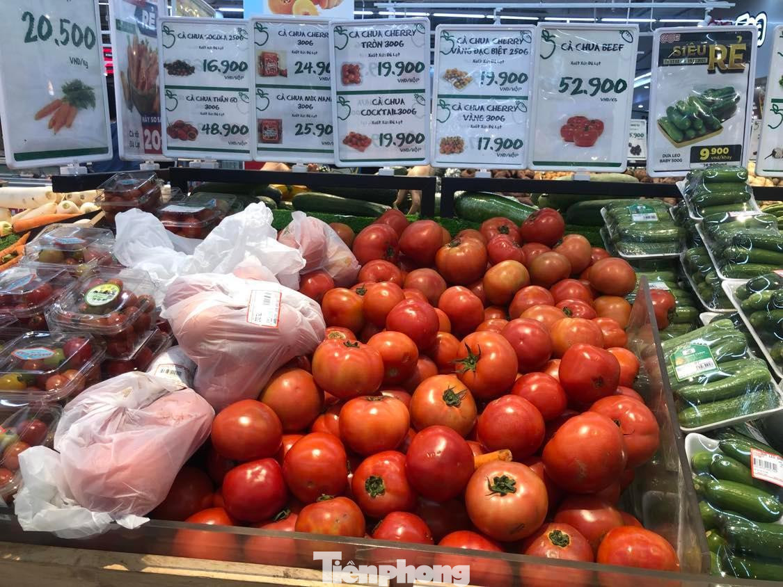 Cà chua tăng giá dựng đứng Cà chua tăng giá dựng đứng