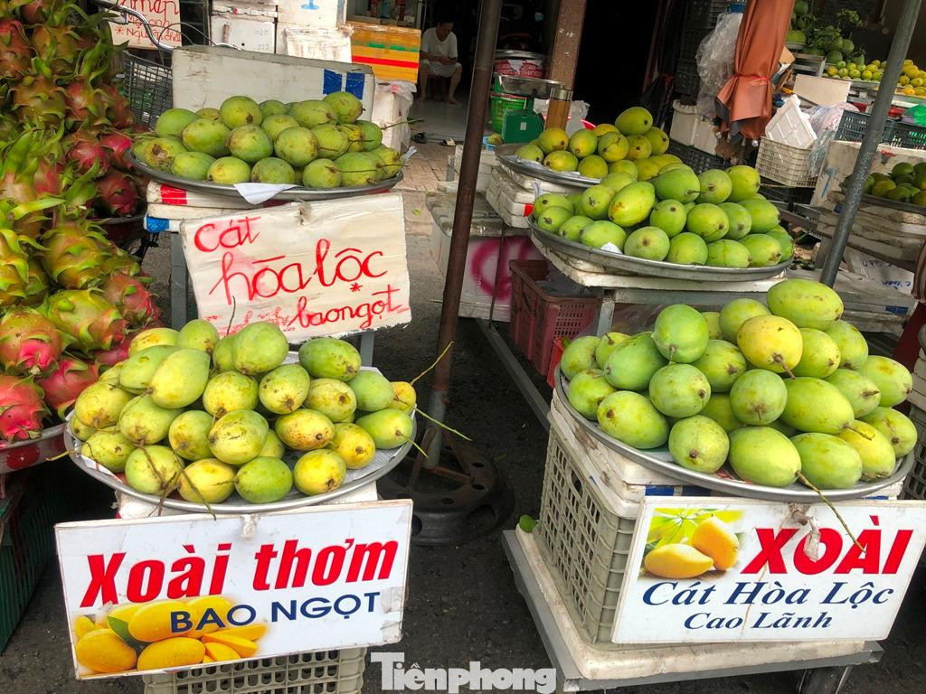 Xoài cát Hòa Lộc bao ăn, giá chỉ từ 30.000 đồng/kg. Tiểu thương cho biết chưa bao giờ xoài lại có giả rẻ như lúc này. Xoài cát Hòa Lộc bao ăn, giá chỉ từ 30.000 đồng/kg. Tiểu thương cho biết chưa bao giờ xoài lại có giả rẻ như lúc này.