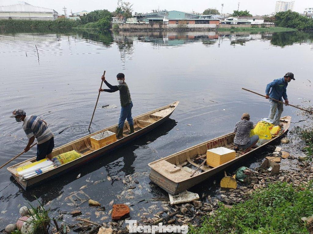 Hàng ngàn con cá chết bất thường gây mùi hôi thối Hàng ngàn con cá chết bất thường gây mùi hôi thối