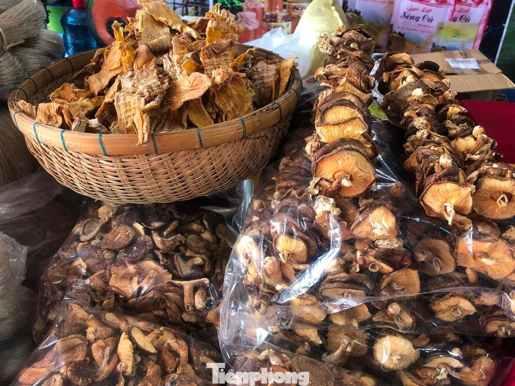 Măng khô, nấm hương rừng Sa Pa