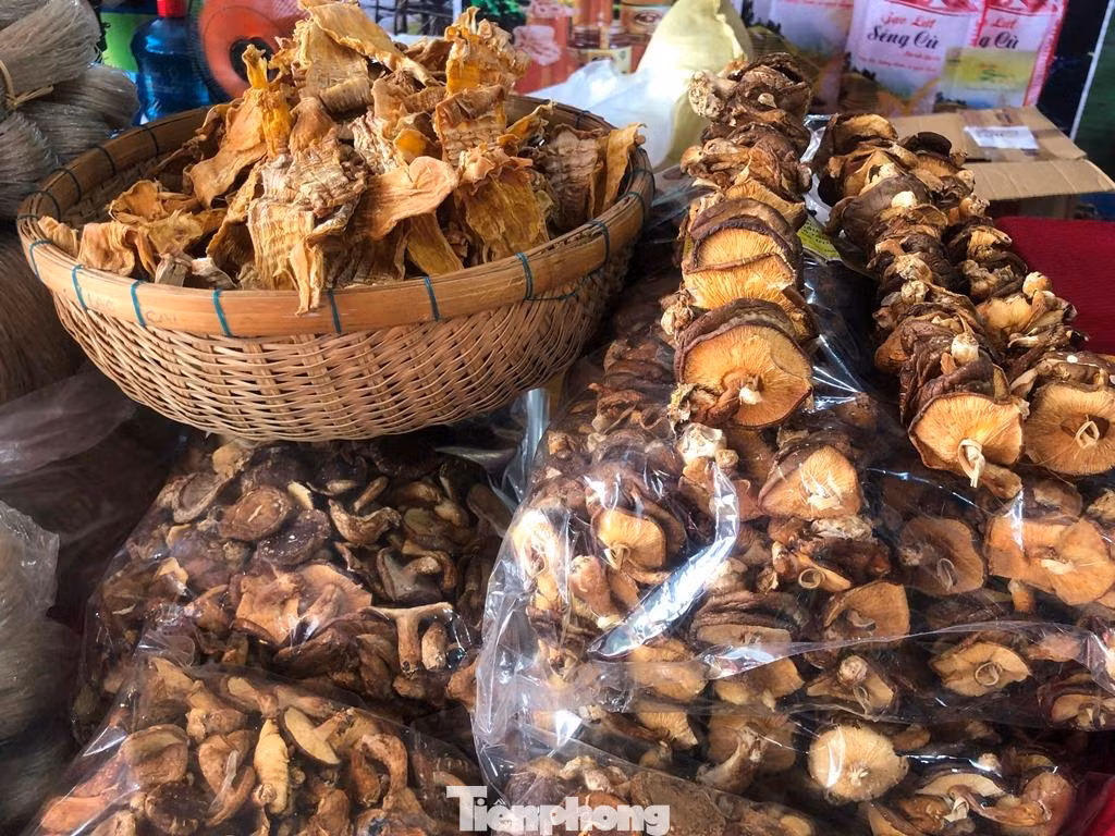 Măng khô, nấm hương rừng Sa Pa