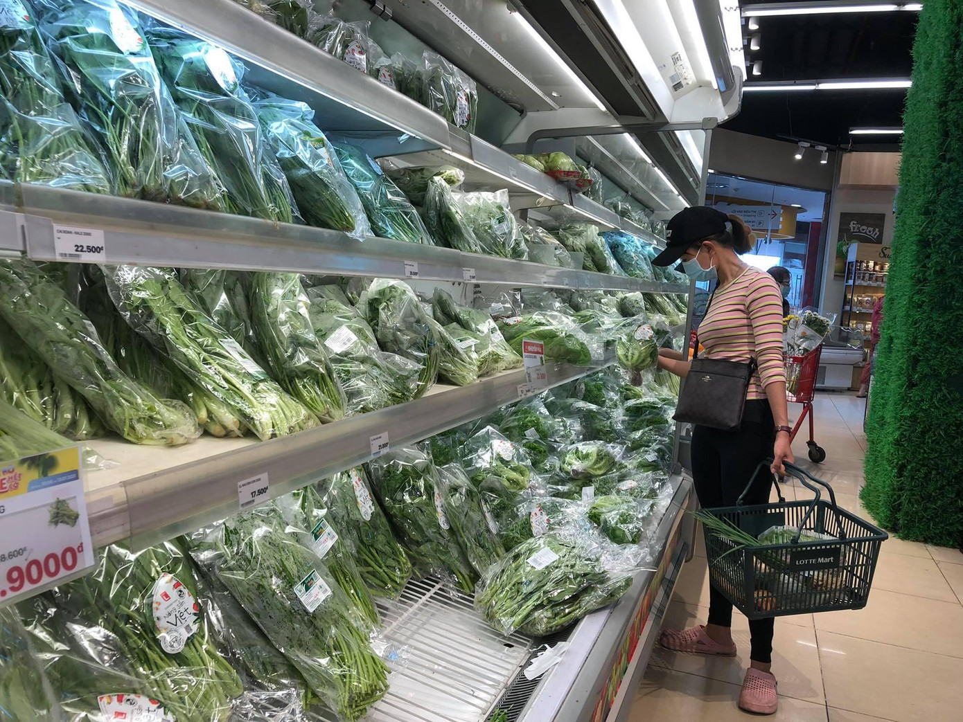 Các loại rau xanh có giá từ 15.000-22.900 đồng/kg, hàng vừa về tươi ngon nhập từ các địa phương tại TPHCM, Lâm Đồng, Tây Ninh... "Hôm qua tôi đến 3 cửa hàng vẫn không mua được, nay thì rau củ, thịt trứng đầy quầy kệ, mua bao nhiêu cũng có" - chị Thu (ngụ Q.Tân Bình) cho biết. Các loại rau xanh có giá từ 15.000-22.900 đồng/kg, hàng vừa về tươi ngon nhập từ các địa phương tại TPHCM, Lâm Đồng, Tây Ninh... "Hôm qua tôi đến 3 cửa hàng vẫn không mua được, nay thì rau củ, thịt trứng đầy quầy kệ, mua bao nhiêu cũng có" - chị Thu (ngụ Q.Tân Bình) cho biết.