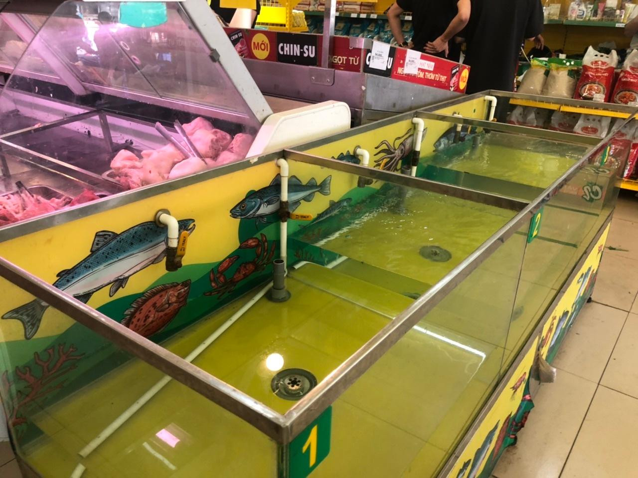 Cá tươi cũng ... sạch trơn