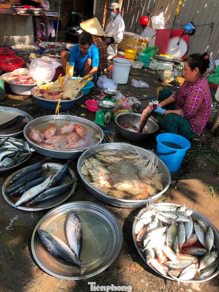 Người bán cá ngồi san sát nhau và đều không đeo khẩu trang