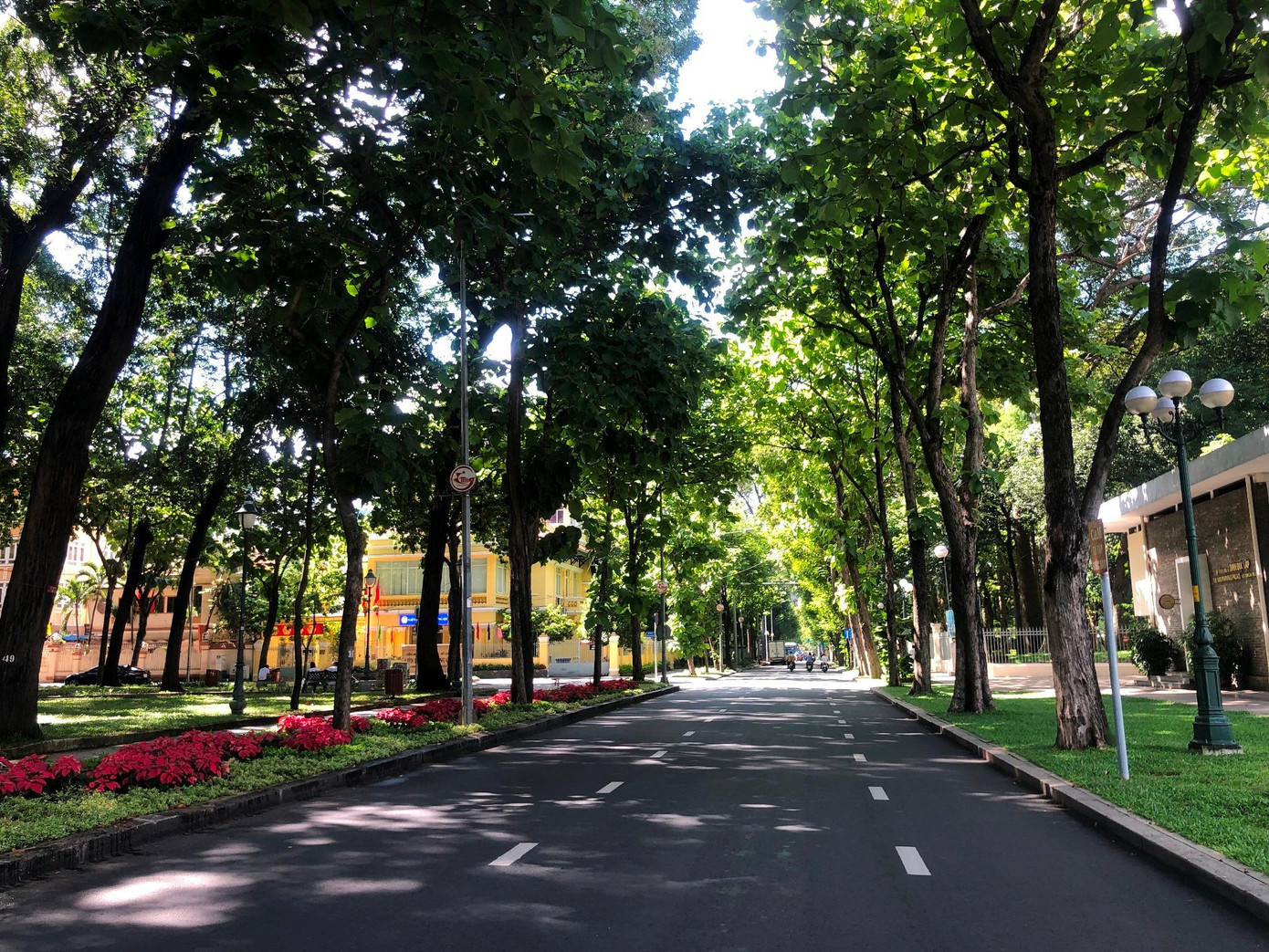 Đường Nam Kỳ Khởi Nghĩa (Q.1) trở nên sâu thẳm, dài hun hút. Đây là địa điểm check-in không thể thiếu của người dân Thành phố và du khách trong - ngoài nước khi đến TPHCM.