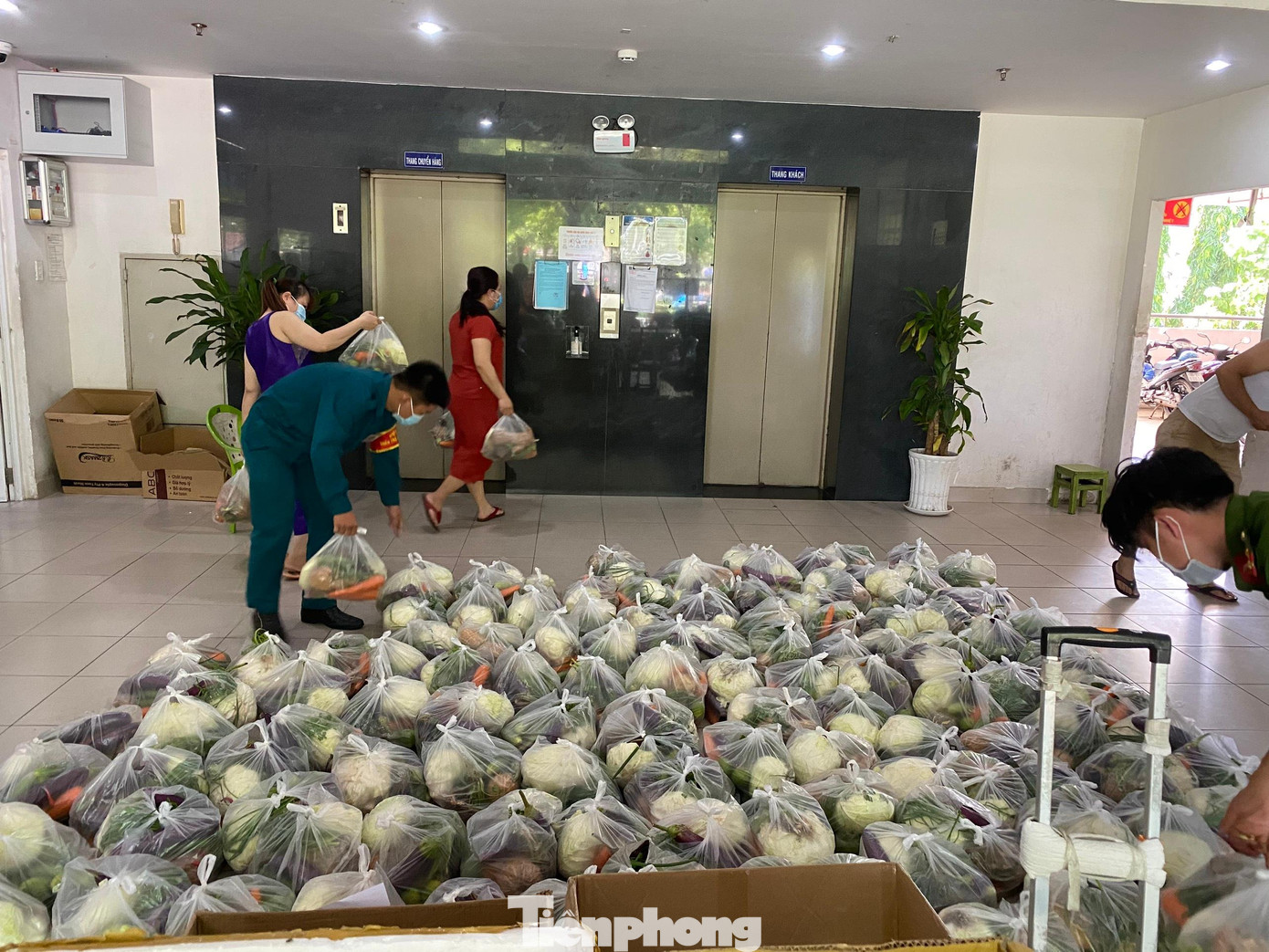 Người dân yên tâm cách ly và chấp hành các tiêu chuẩn phòng dịch COVID-19 Người dân yên tâm cách ly và chấp hành các tiêu chuẩn phòng dịch COVID-19