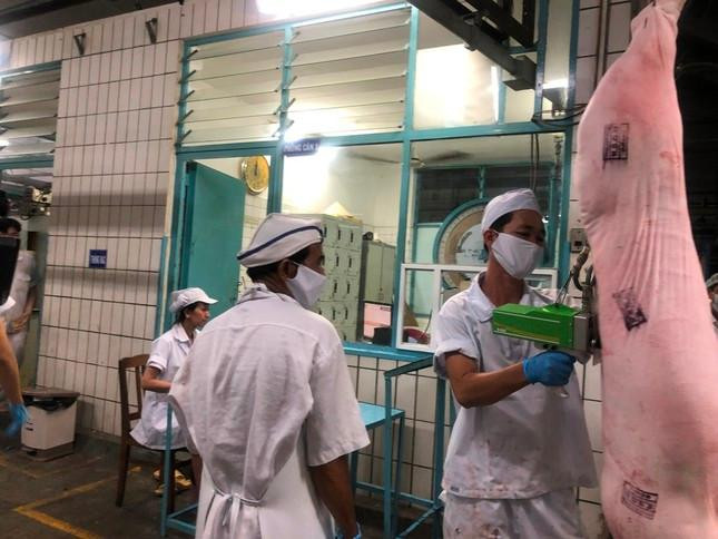 Heo đóng dấu trước khi đưa vào kho mát- ảnh: U.P Heo đóng dấu trước khi đưa vào kho mát- ảnh: U.P