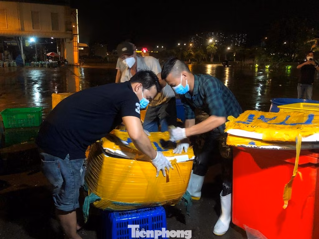 Tiểu thương đóng hàng bắt đầu chuyển đến siêu thị, cửa hàng kinh doanh và các mối sỉ