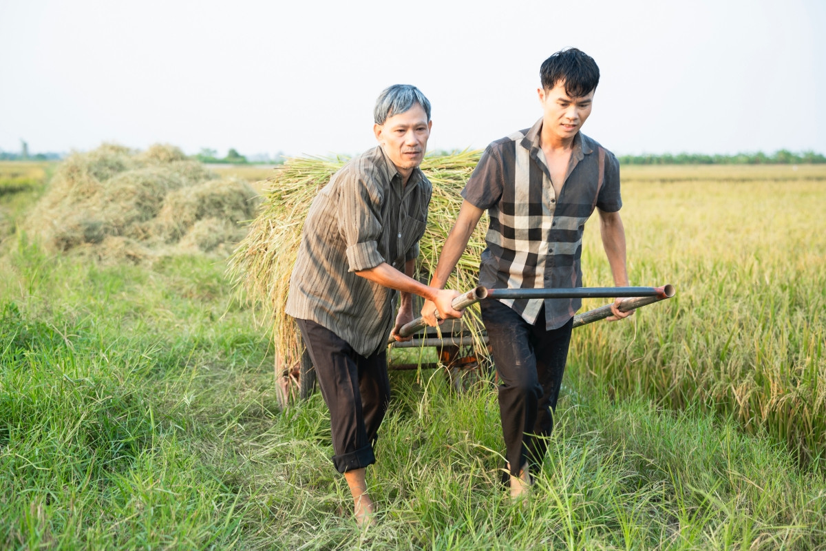 Lê Vĩnh Toàn dùng âm nhạc để tri ân quê hương, những nhọc nhằn nuôi anh lớn. Lê Vĩnh Toàn dùng âm nhạc để tri ân quê hương, những nhọc nhằn nuôi anh lớn.