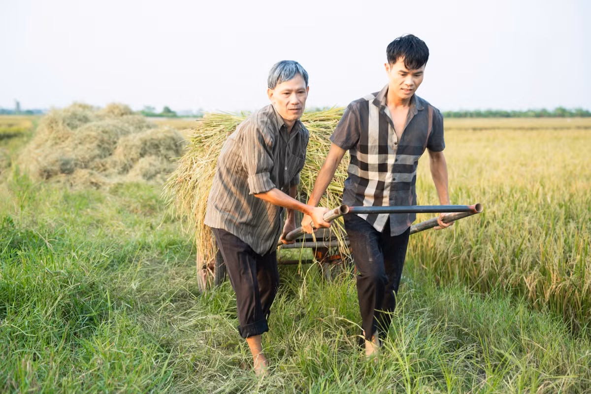 Lê Vĩnh Toàn dùng âm nhạc để tri ân quê hương, những nhọc nhằn nuôi anh lớn.