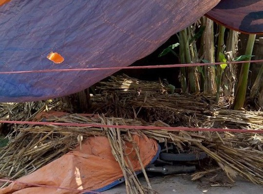 Hé lộ nguyên nhân vụ giết anh họ, cứa cổ hàng xóm tại Nghệ An ảnh 1