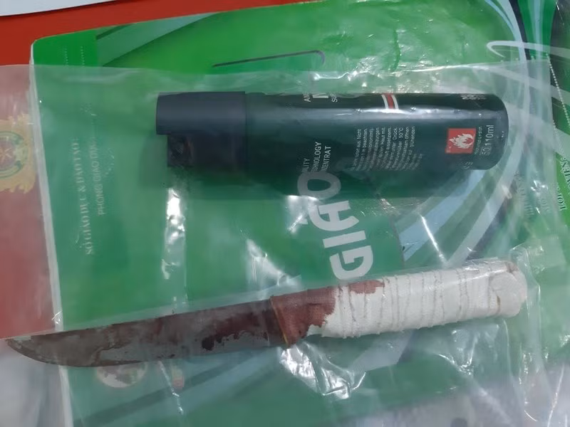 Cô gái 18 tuổi khai giết 'chồng hờ' do thường xuyên bị đánh đập ảnh 1