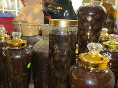 Tang vật rượu ngâm hoa, quả, lá thuốc phiện trong một vụ án tại Hà Nội thàng 12.2012