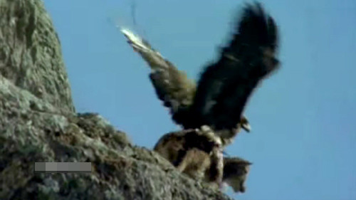 Video 'hot': Rượt đuổi “xe điên” biển xanh gây tai nạn bỏ chạy ở Hà Nội ảnh 6