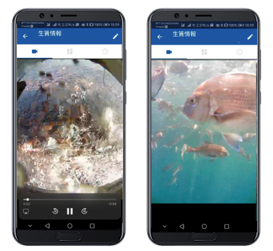 Ứng dụng AI xác định khi nào cá đói dựa vào cách chúng bơi. Ứng dụng AI xác định khi nào cá đói dựa vào cách chúng bơi.