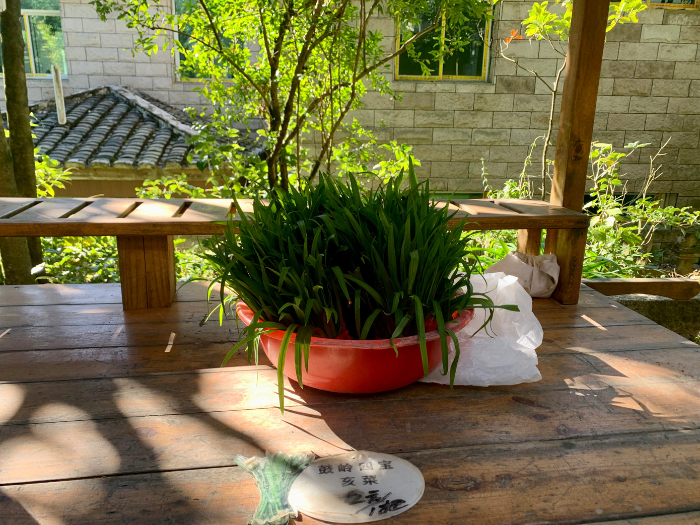 Trong khu du lịch Cổ Lĩnh, thành phố Phúc Châu, tỉnh Phúc Kiến, rau “xin chào” được bán với giá 2 nhân dân tệ (6.600 đồng) một mớ. Ảnh: Linh Nhi.