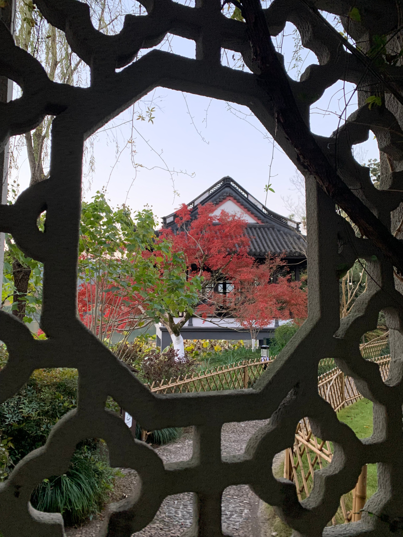 Cây lá xanh chen cây lá đỏ ven Hồ Tây ở thành phố Hàng Châu, tỉnh Chiết Giang. Ảnh: Linh Nhi.