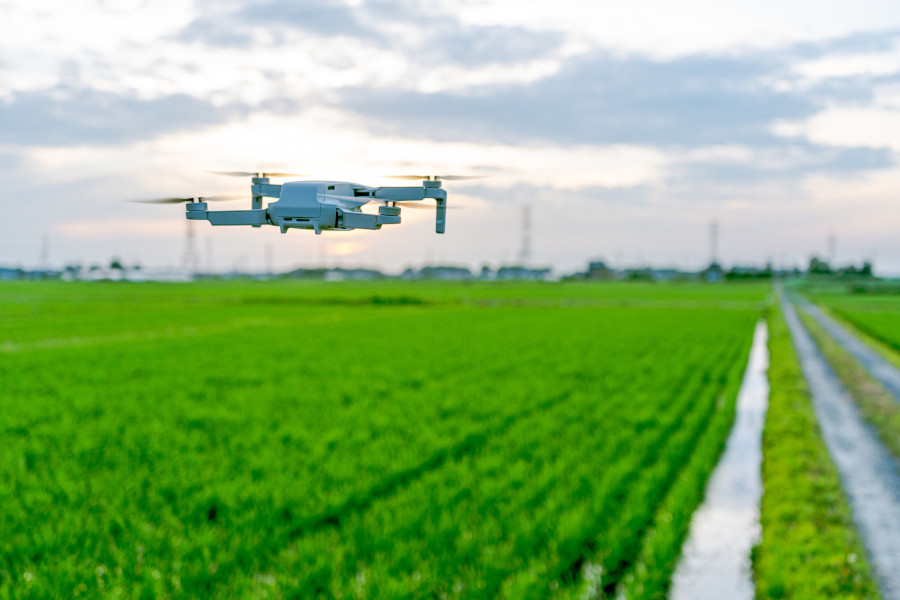 Dùng drone để chụp ảnh trên cánh đồng, cung cấp thông tin chi tiết về số lượng rau quả, kích thước và mức độ phát triển của chúng. Ảnh: Niponica. Dùng drone để chụp ảnh trên cánh đồng, cung cấp thông tin chi tiết về số lượng rau quả, kích thước và mức độ phát triển của chúng. Ảnh: Niponica.