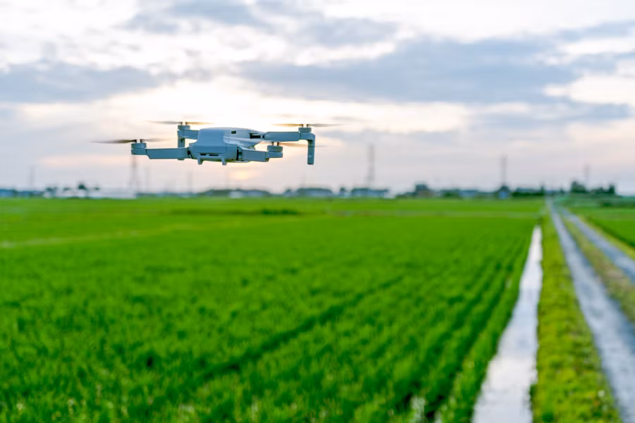 Dùng drone để chụp ảnh trên cánh đồng, cung cấp thông tin chi tiết về số lượng rau quả, kích thước và mức độ phát triển của chúng. Ảnh: Niponica.