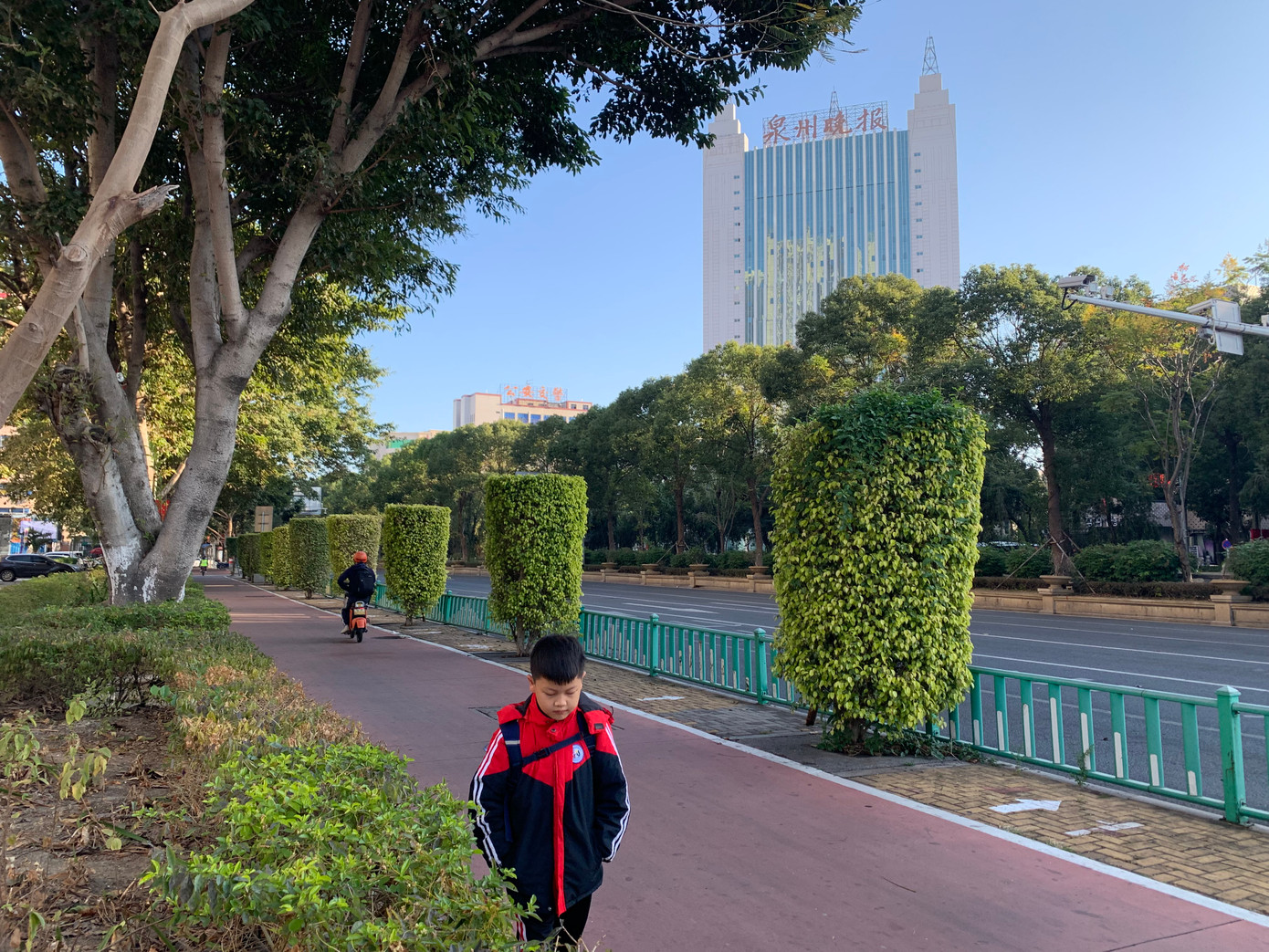 Cây to tạo tán và cây bụi uốn hình cùng làn đường riêng dành cho người đi bộ, xe đạp điện là cảnh thường thấy ở tỉnh Phúc Kiến. Ảnh: Linh Nhi.