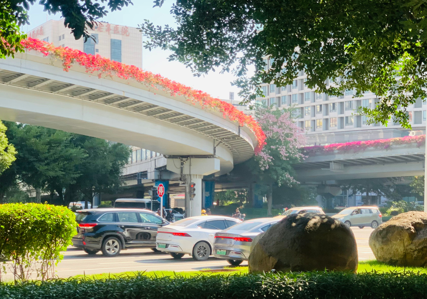 Ở thành phố Phúc Châu, tỉnh Phúc Kiến, dù là đường đi trên mặt đất hay đường trên cao thì cây cỏ, hoa lá cũng được ưu tiên trồng ở bên cạnh hoặc trên thành cầu cạn.