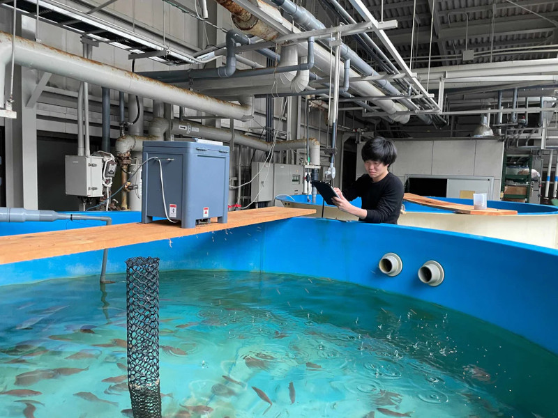 Nghiên cứu phát triển các hệ thống được tối ưu hóa cho nuôi cá trên đất liền. Ảnh: Regional Fish Institute. Nghiên cứu phát triển các hệ thống được tối ưu hóa cho nuôi cá trên đất liền. Ảnh: Regional Fish Institute.