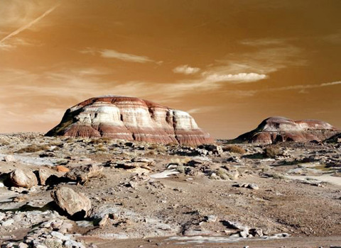 Hình ảnh của chương trình mô phỏng cuộc sống trên sao Hỏa. Ảnh HAS