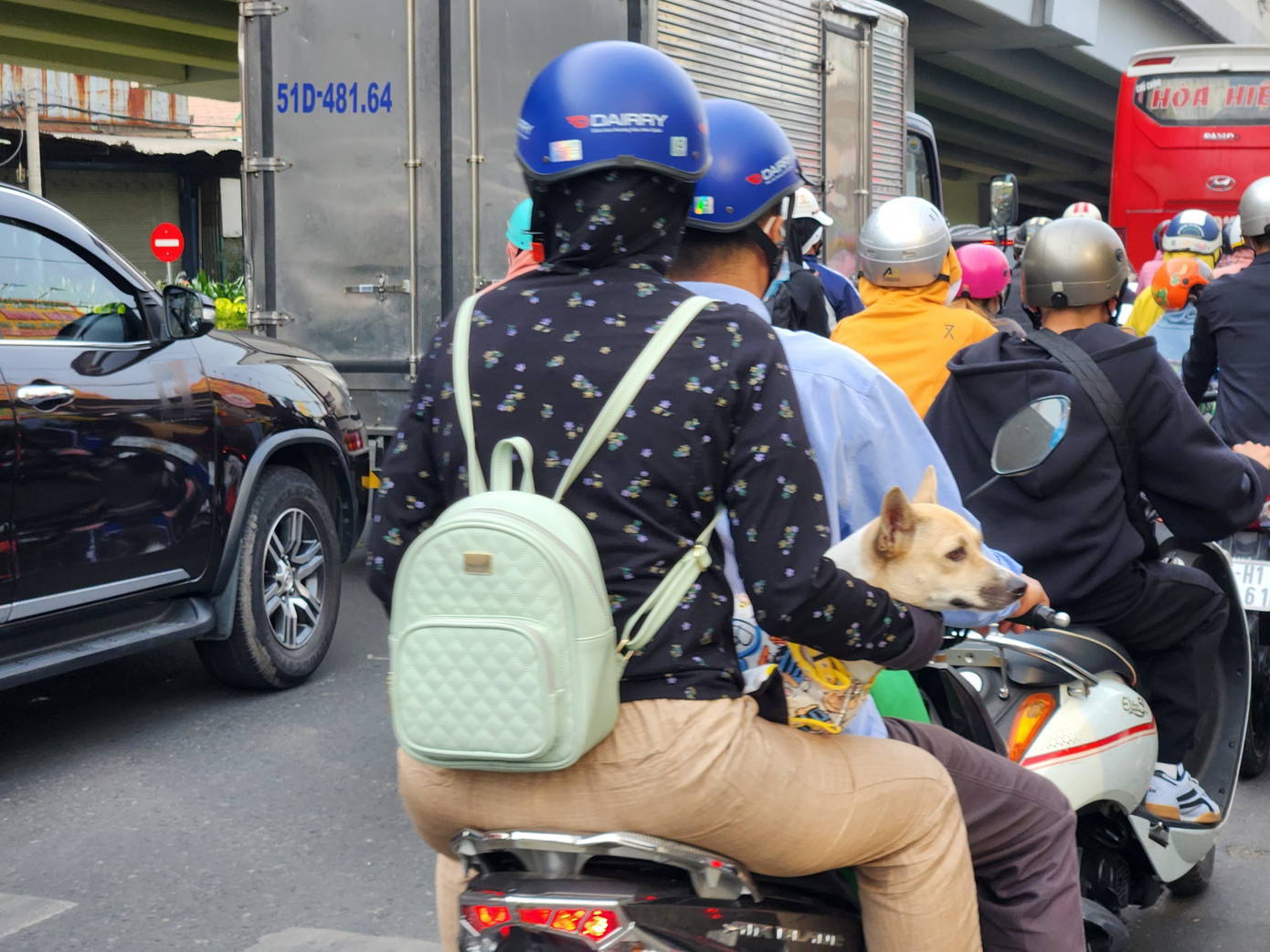 Nhiều người mang theo thú cưng cùng về quê. Nhiều người mang theo thú cưng cùng về quê.