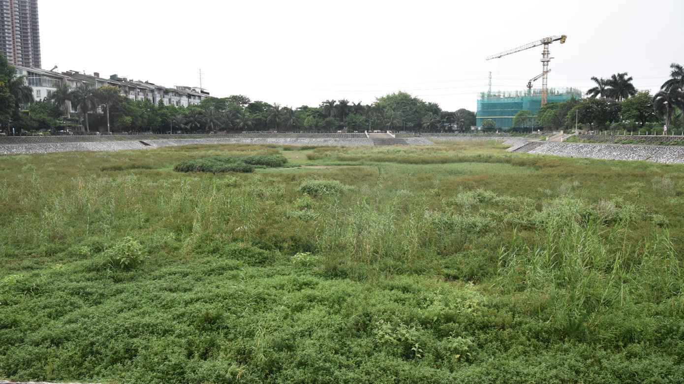 Cỏ cây mọc um tùm, có nhiều chỗ cỏ mọc cao quá đầu người.