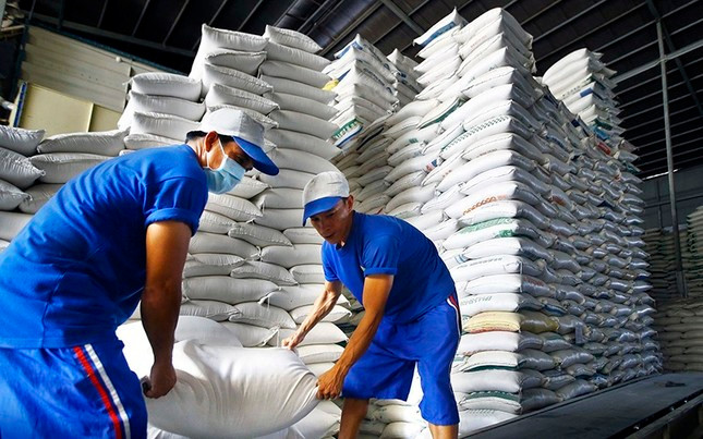 Xuất khẩu gạo năm nay tăng mạnh cả về sản lượng và giá bán. Xuất khẩu gạo năm nay tăng mạnh cả về sản lượng và giá bán.