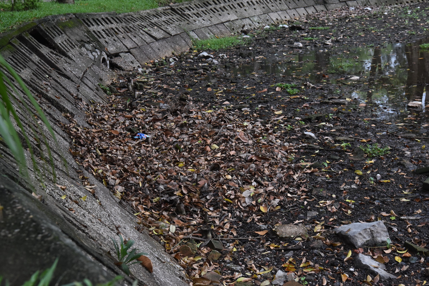 Do thiếu nước lâu ngày, nhiều khu vực dưới lòng hồ trở nên khô cằn, nứt nẻ.