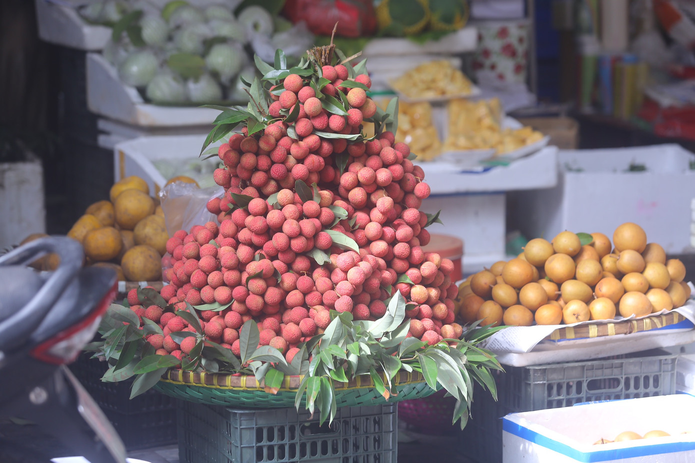 Các loại hoa quả như mận, vải thường được người dân mua nhiều để cúng bởi theo quan niệm xưa, các loại quả này có chức năng diệt sâu bọ tốt.
