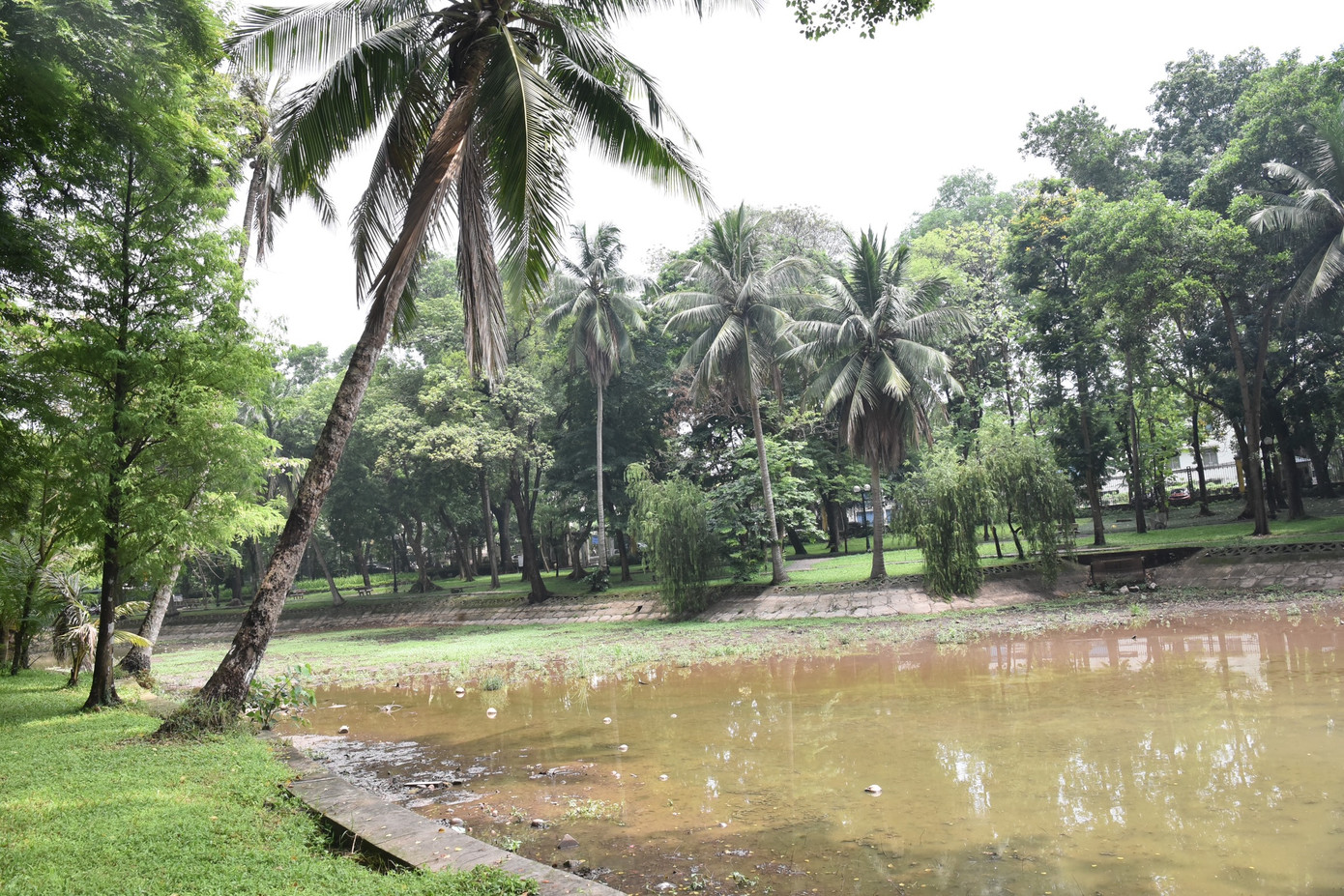 Tương tự, tình trạng hồ nước cạn khô, trơ đáy xảy ra gần 2 tháng nay, trong đợt nắng nóng kéo dài vừa qua thì tình trạng này trở nên nghiêm trọng hơn.